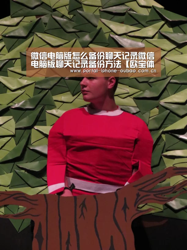 微信电脑版怎么备份聊天记录微信电脑版聊天记录备份方法【欧宝体育】(图2) 欧宝体育