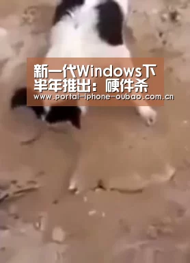 欧宝体育