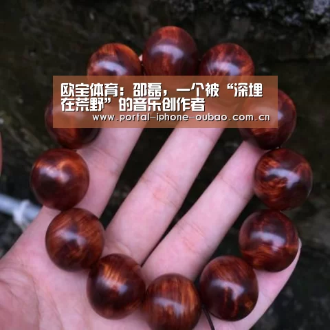 欧宝体育:邵磊,一个被“深埋在荒野”的音乐创作者(图3) 欧宝体育